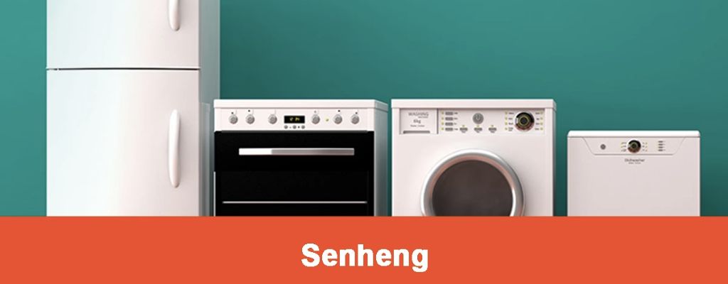 Senheng Electronic