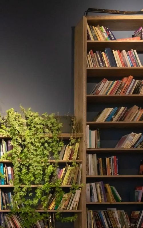 Bookshelves_3 (1)